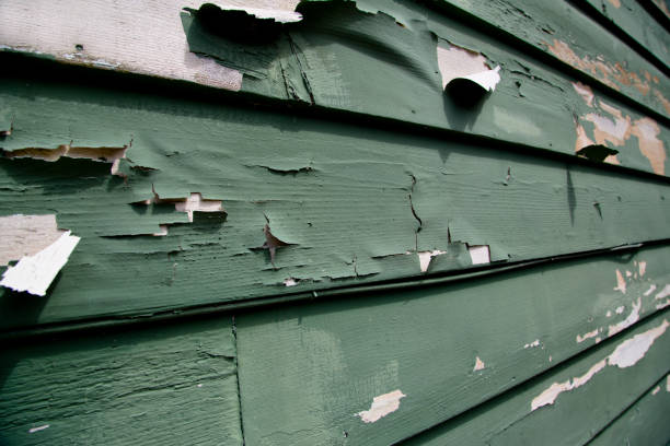 Storm Damage Siding Repair in Landis, NC