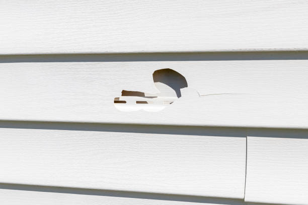 Best James Hardie Siding  in Landis, NC