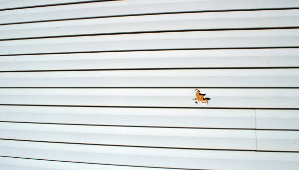 Best Custom Siding Design  in Landis, NC