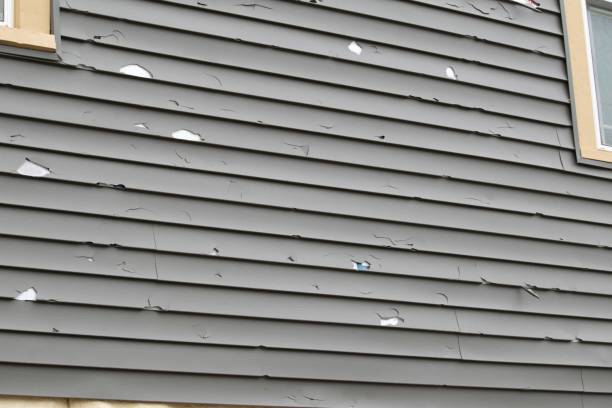 Affordable siding repair and maintenance services in Landis, NC