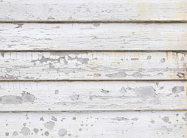 Best Engineered Wood Siding  in Landis, NC