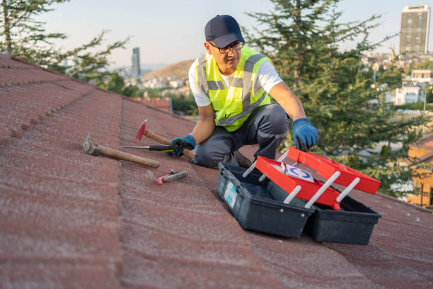 Best Siding Removal and Disposal  in Landis, NC